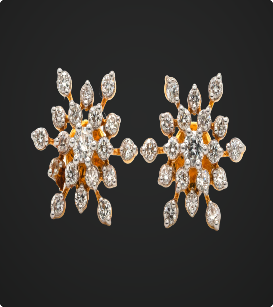 Swarga and Women Earing and KER-648