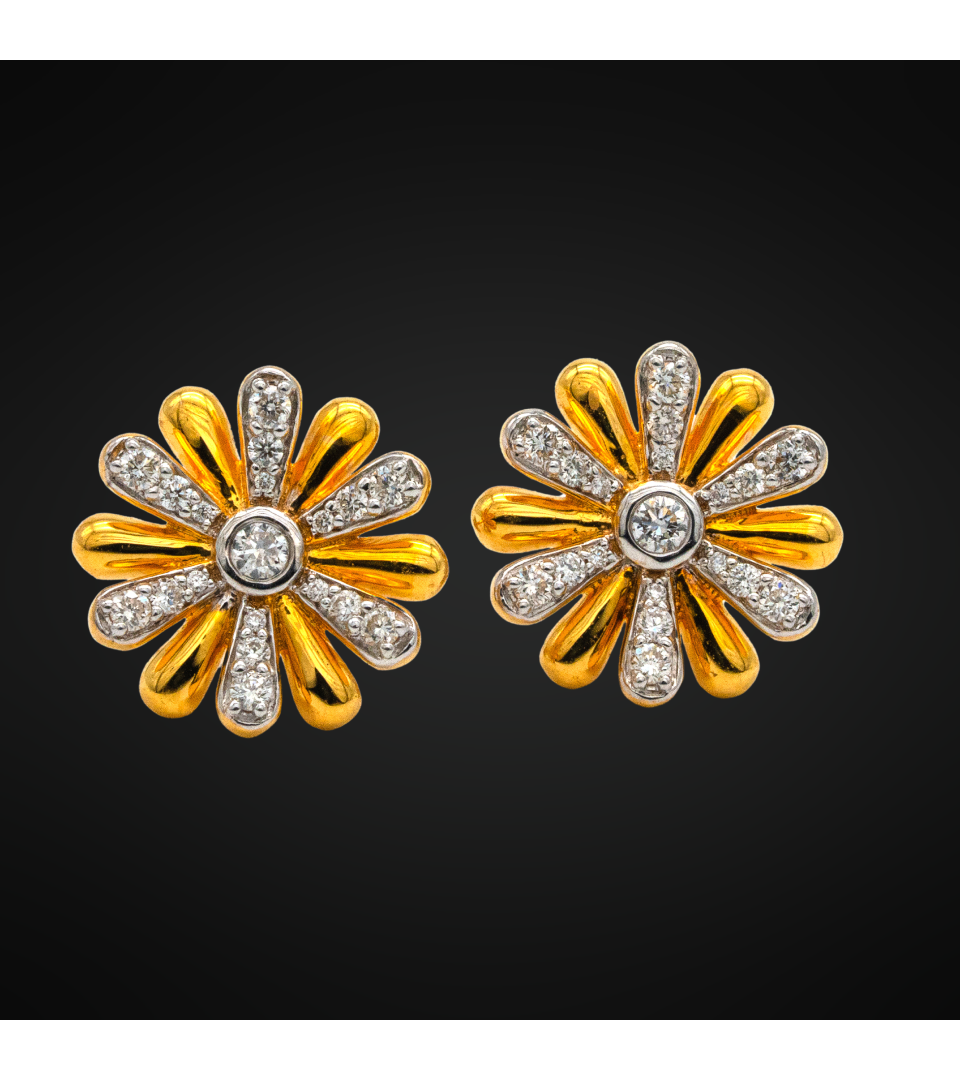 Swarga and Women Earing and KER-678