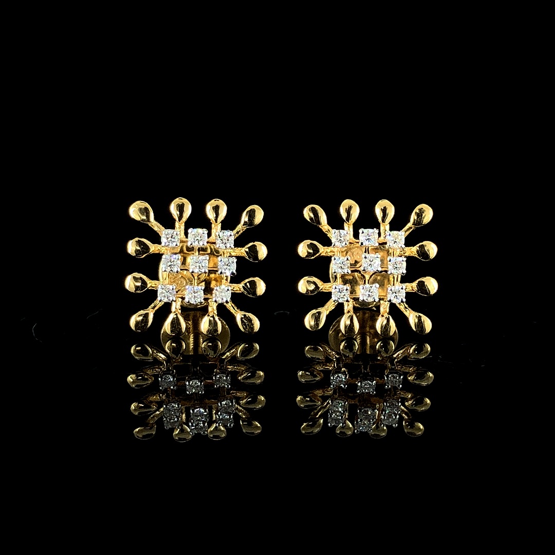 Swarga and Women Earing and KER-920